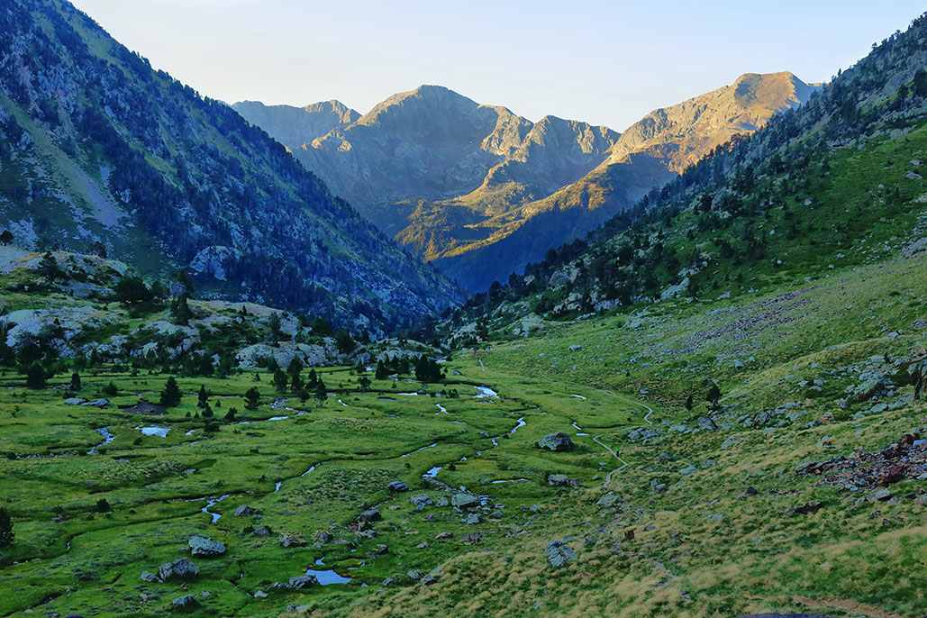 Elegance Limousines Alquiler de Limusinas