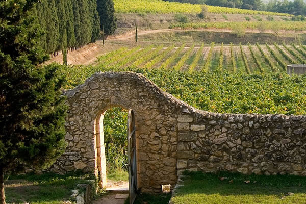 Elegance Limousines Alquiler de Limusinas